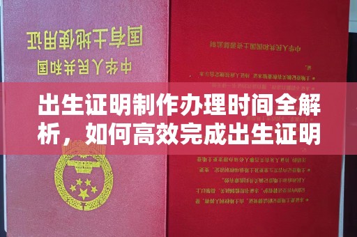 韶山出生证明制作办理时间全解析，如何高效完成出生证明申请？
